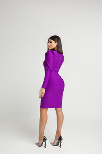 The Amara bodycon dress-Dress-Secret Closet